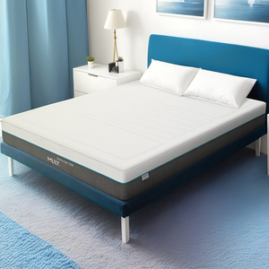 Ortho Gel 1000 Memory Foam Mattress